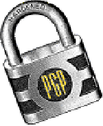 spangly pgp lock thing