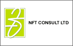 NFT Consult
